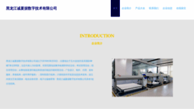 What Co0xaw.cn website looked like in 2023 (This year)
