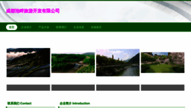 What Cdchipin.cn website looked like in 2023 (This year)