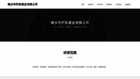 What Ceaqmro.cn website looked like in 2023 (This year)