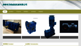 What Cfsqbw.cn website looked like in 2023 (This year)