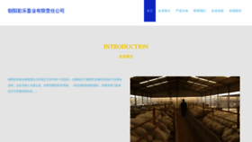 What Cyclex.cn website looked like in 2023 (This year)