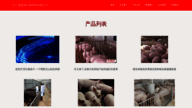What Ctnguhr.cn website looked like in 2023 (This year)