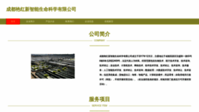 What Cdsyhw.cn website looked like in 2023 (This year)