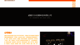 What Cdtianle.cn website looked like in 2023 (This year)