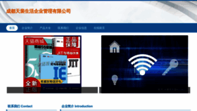 What Cdtip.cn website looked like in 2023 (This year)