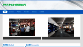 What Cflmows.cn website looked like in 2023 (This year)