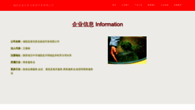 What Cgfeixun.cn website looked like in 2023 (This year)