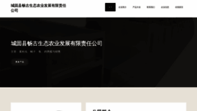 What Cgcg28.cn website looked like in 2023 (This year)