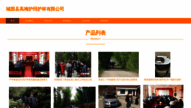 What Cgmei.cn website looked like in 2023 (This year)