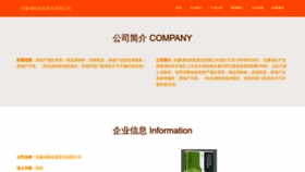 What Chiodbj.cn website looked like in 2023 (This year)