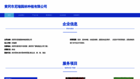 What Cnrvr.cn website looked like in 2023 (This year)
