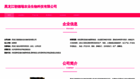 What Cocacoder.cn website looked like in 2023 (This year)