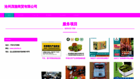 What Comche.cn website looked like in 2023 (This year)