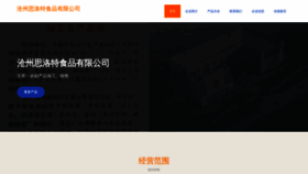 What Coolstory.cn website looked like in 2023 (This year)