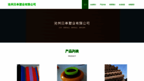 What Crdibsr.cn website looked like in 2023 (This year)