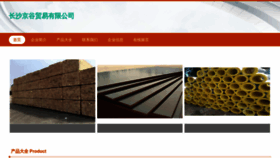 What Csjingu.cn website looked like in 2023 (This year)