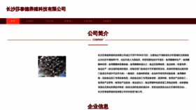 What Csstcw.cn website looked like in 2023 (This year)
