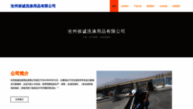 What Cthou.cn website looked like in 2023 (This year)
