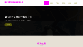 What Cnguye.cn website looked like in 2023 (This year)