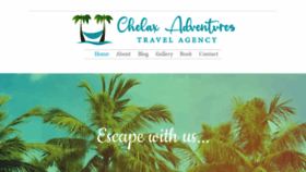 What Chelaxadventures.com website looked like in 2023 (This year)