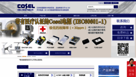 What Coselasia.cn website looked like in 2023 (This year)