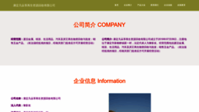 What Camnfdx.cn website looks like in 2024 
