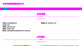 What Cchzden.cn website looks like in 2024 