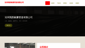 What Czchuangsheng.com website looks like in 2024 