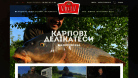 What Chytil.com.ua website looks like in 2024 