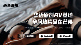What Chinacizhuan.com website looks like in 2024 