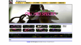 What Cyberwildorchid.com website looks like in 2024 