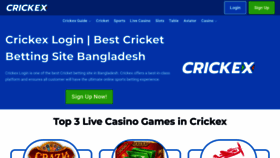 What Crickex.biz website looks like in 2024 