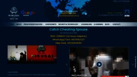 What Catchcheatingspouse.sg website looks like in 2024 