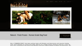 What Commonsensedogfood.com website looks like in 2024 