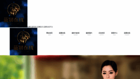 What Chengweikj.com website looks like in 2024 