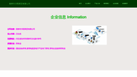 What Cylzts.com website looks like in 2024 