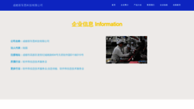 What Cdchache.cn website looks like in 2024 