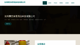 What Ctengkj.cn website looks like in 2024 