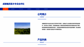 What Cdmeihong.com website looks like in 2024 