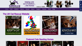 What Catchat.org website looked like in 2024 (1 year ago)