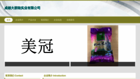 What Cdalv.cn website looks like in 2024 