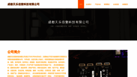 What Cdtianle.cn website looks like in 2024 