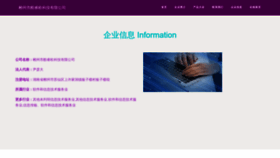 What Circoool.cn website looks like in 2024 