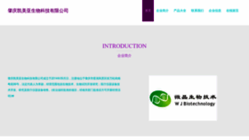 What Cmmkdmp.cn website looks like in 2024 