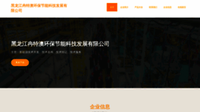 What Coderat.cn website looks like in 2024 