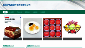 What Cqthhpu.cn website looks like in 2024 