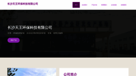 What Cswtw.cn website looks like in 2024 