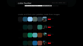 What Colorhunter.com website looks like in 2024 
