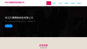 What Chaofanwangluo.com website looks like in 2024 
