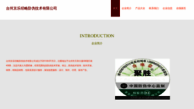 What Chjinle.com website looks like in 2024 